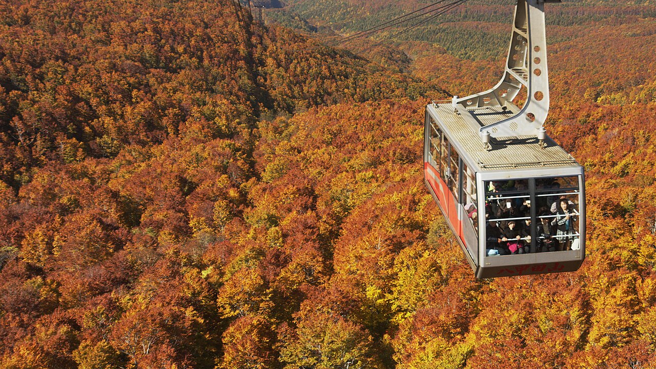 紅葉した八甲田の斜面とロープウェー