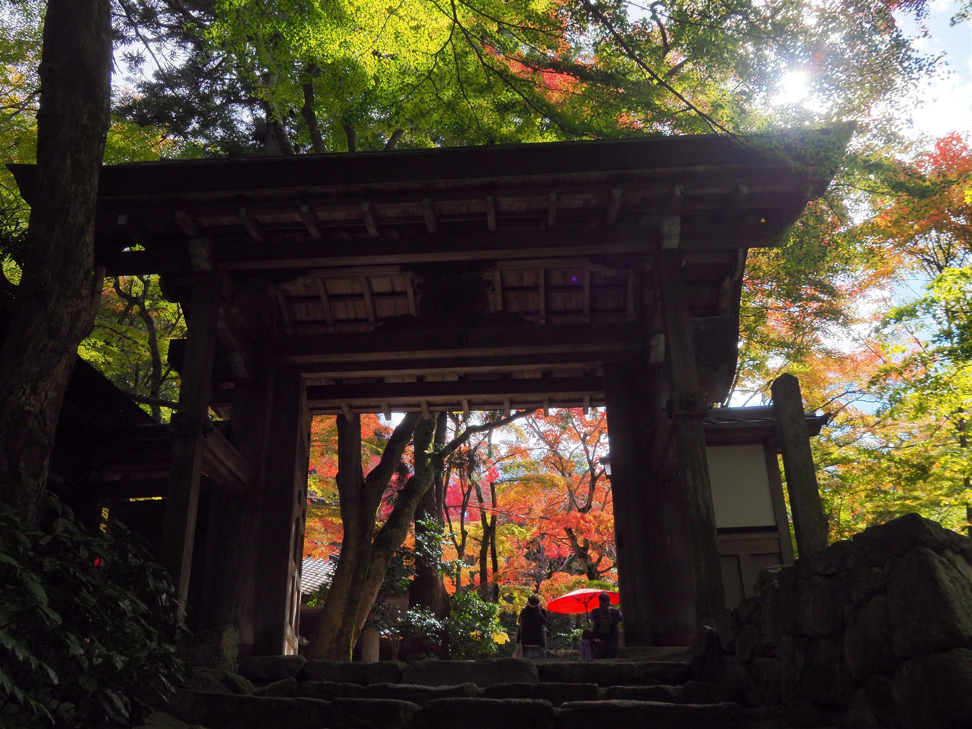 秋の瑞宝寺公園の山門