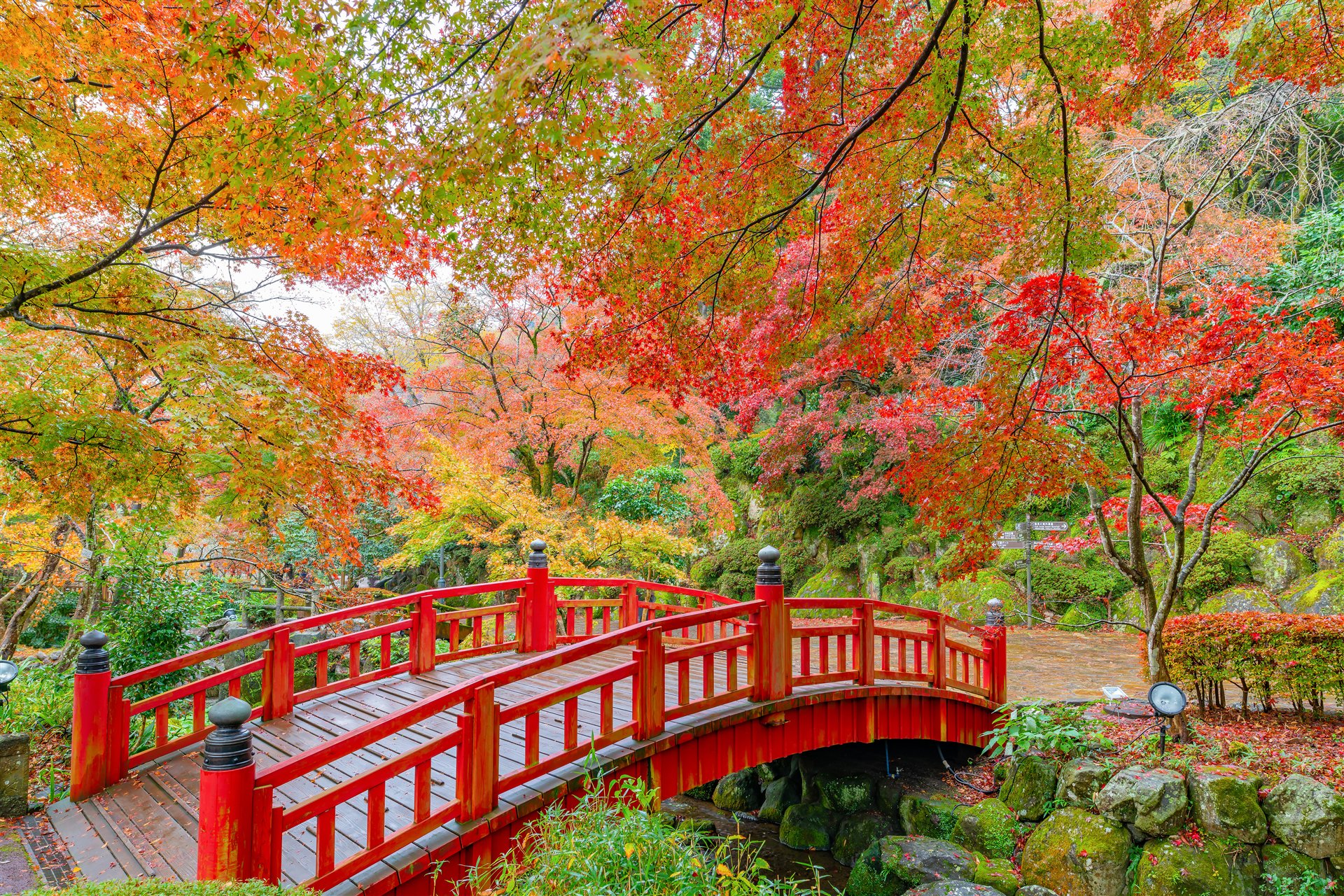 熱海梅園の紅葉と赤い橋。