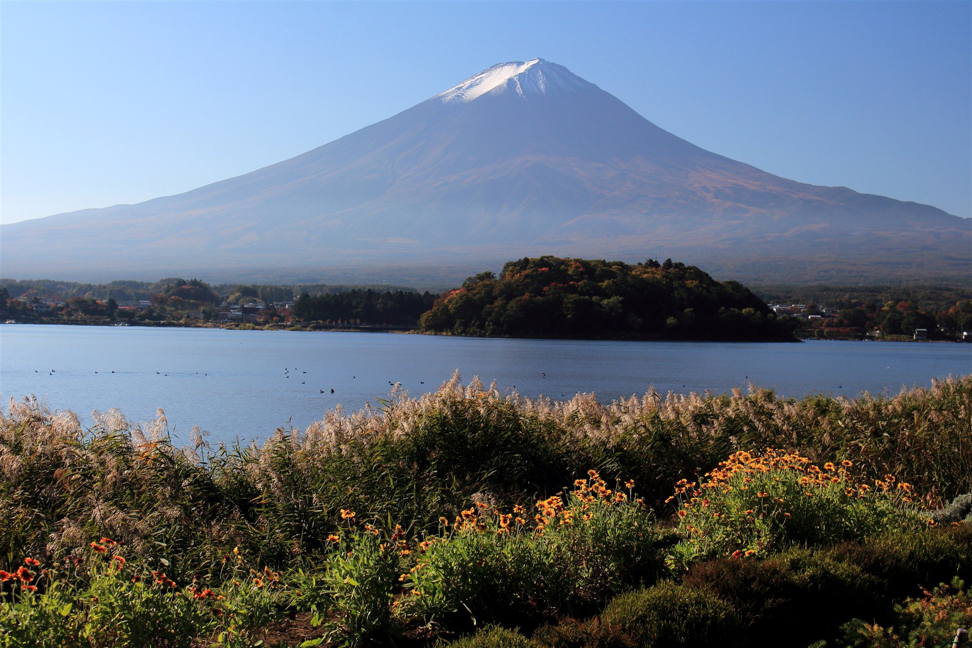 大石公園から眺める河口湖と富士山(2015年10月撮影)。