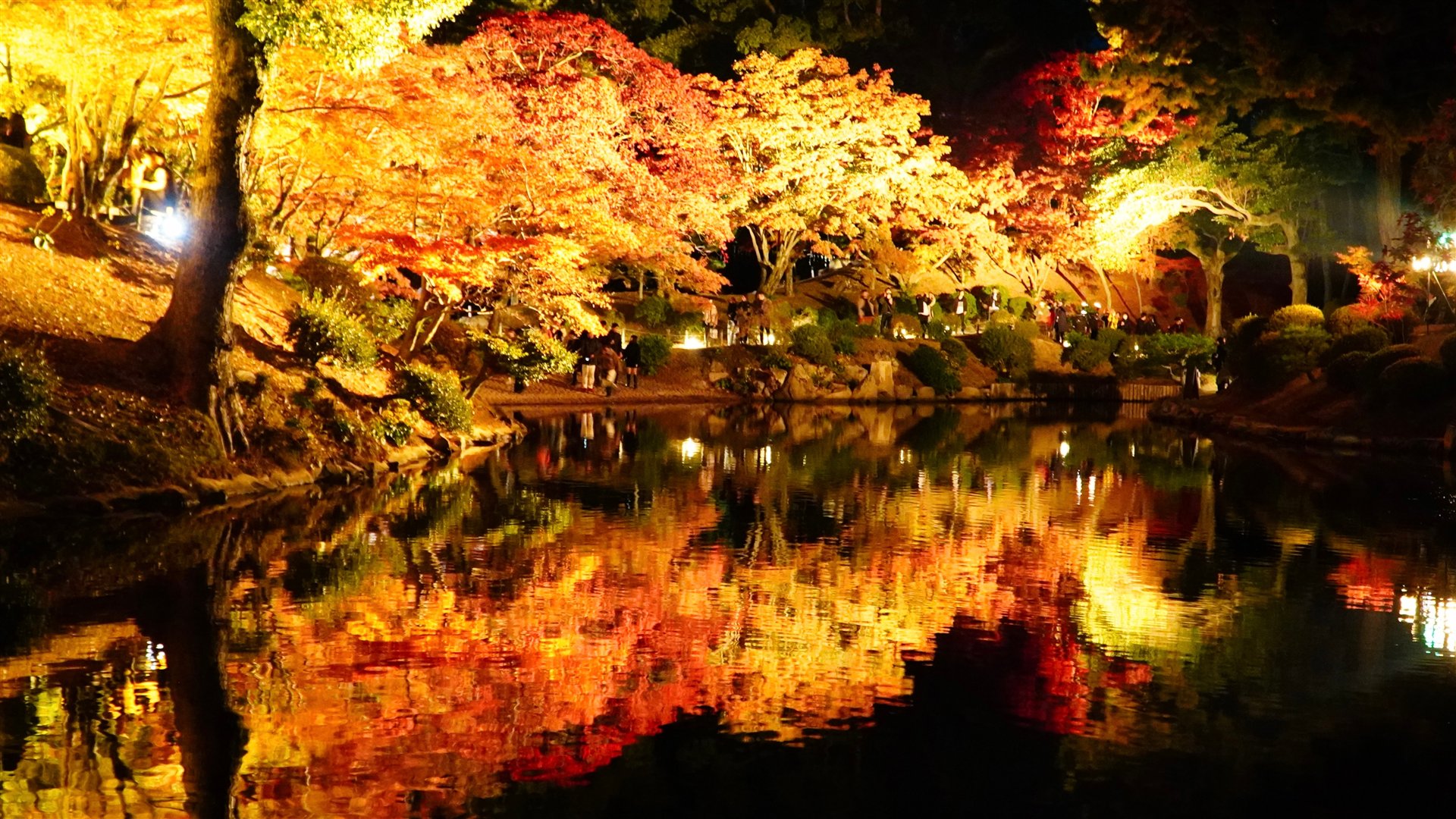縮景園の夜の紅葉景観。旅程は日中の訪問を想定し、夜間公開の日程とは別にしています。