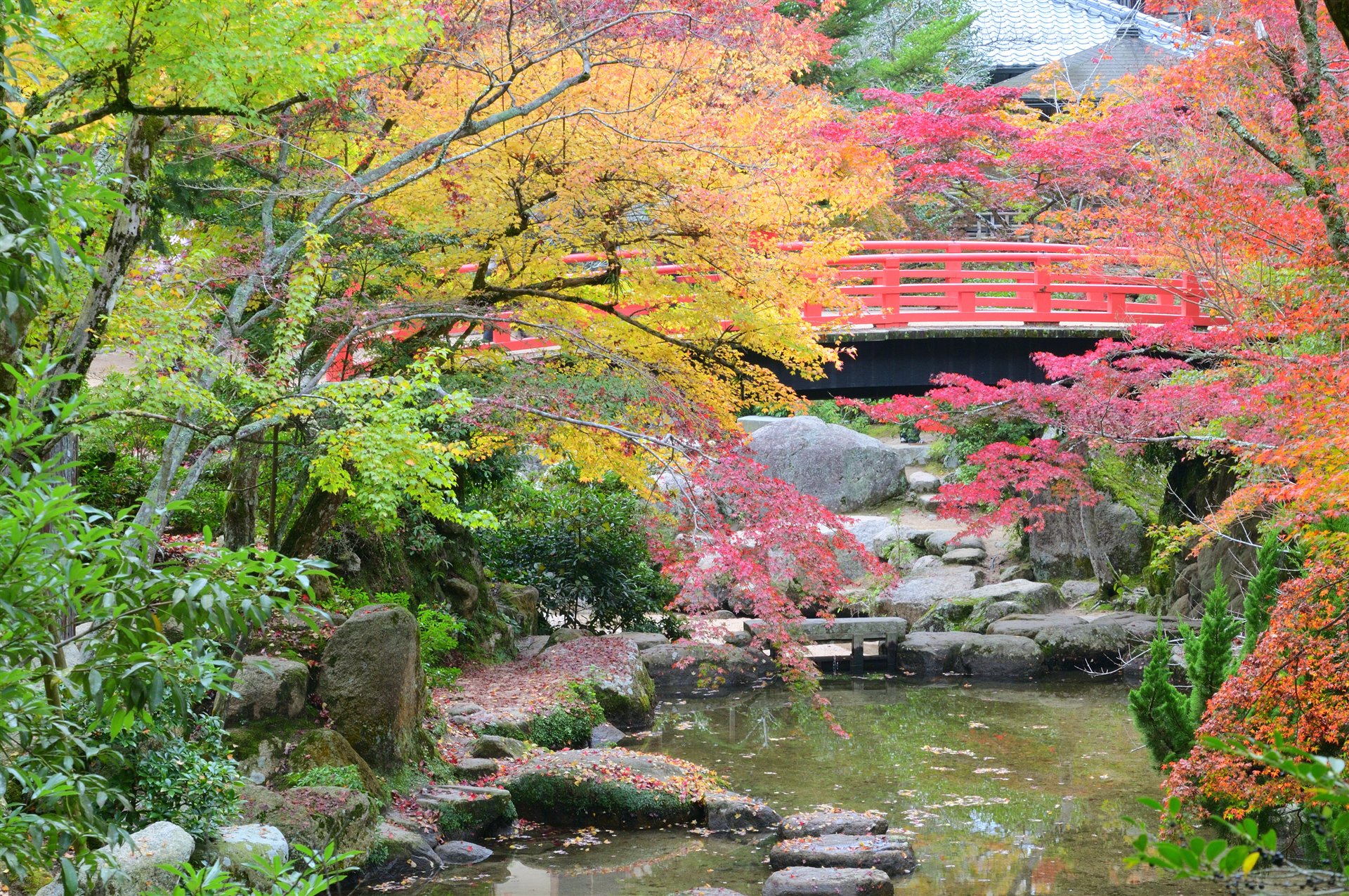 宮島・紅葉谷公園の秋景色。