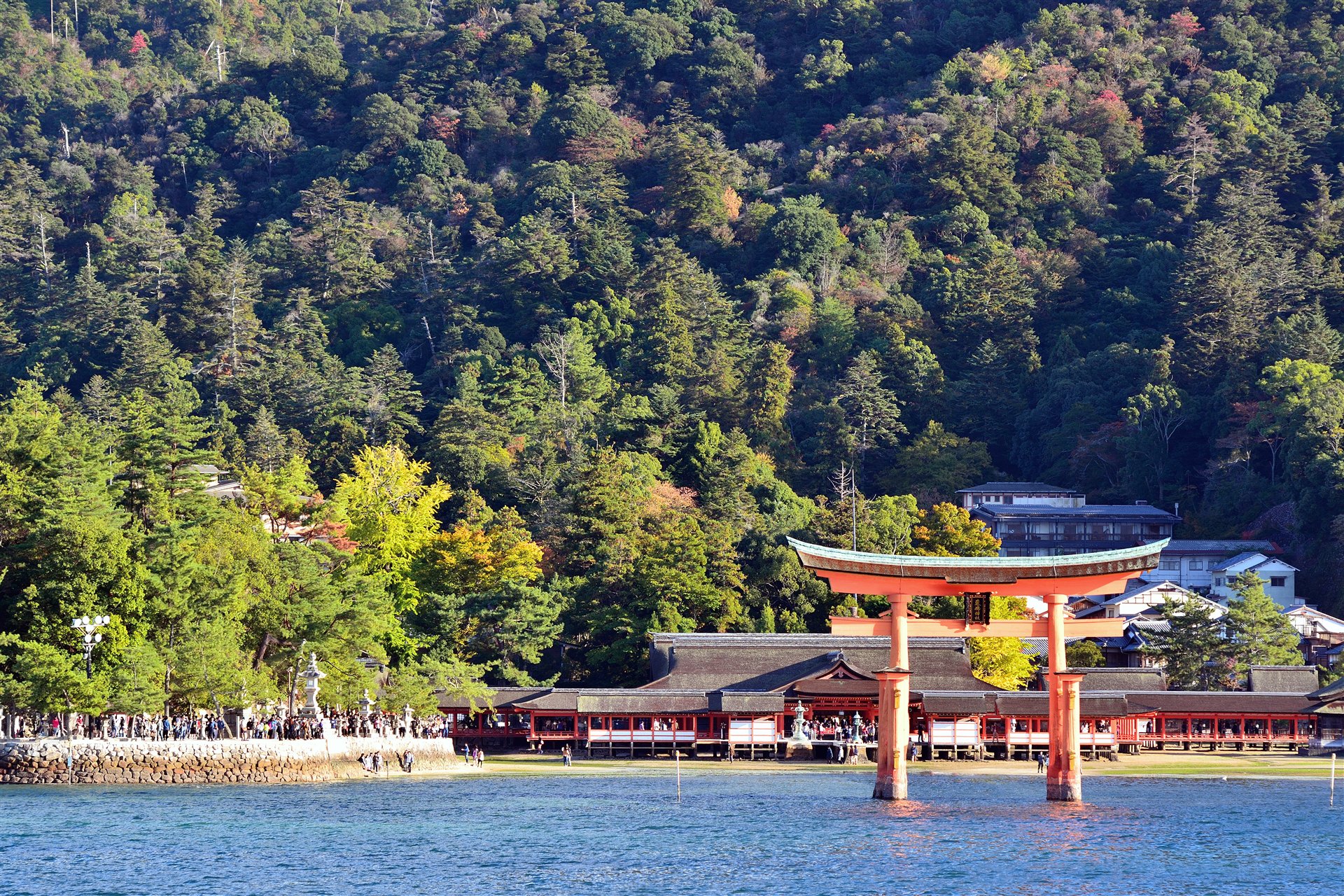 宮島の大鳥居と嚴島神社。潮位で見える景色が変わります。