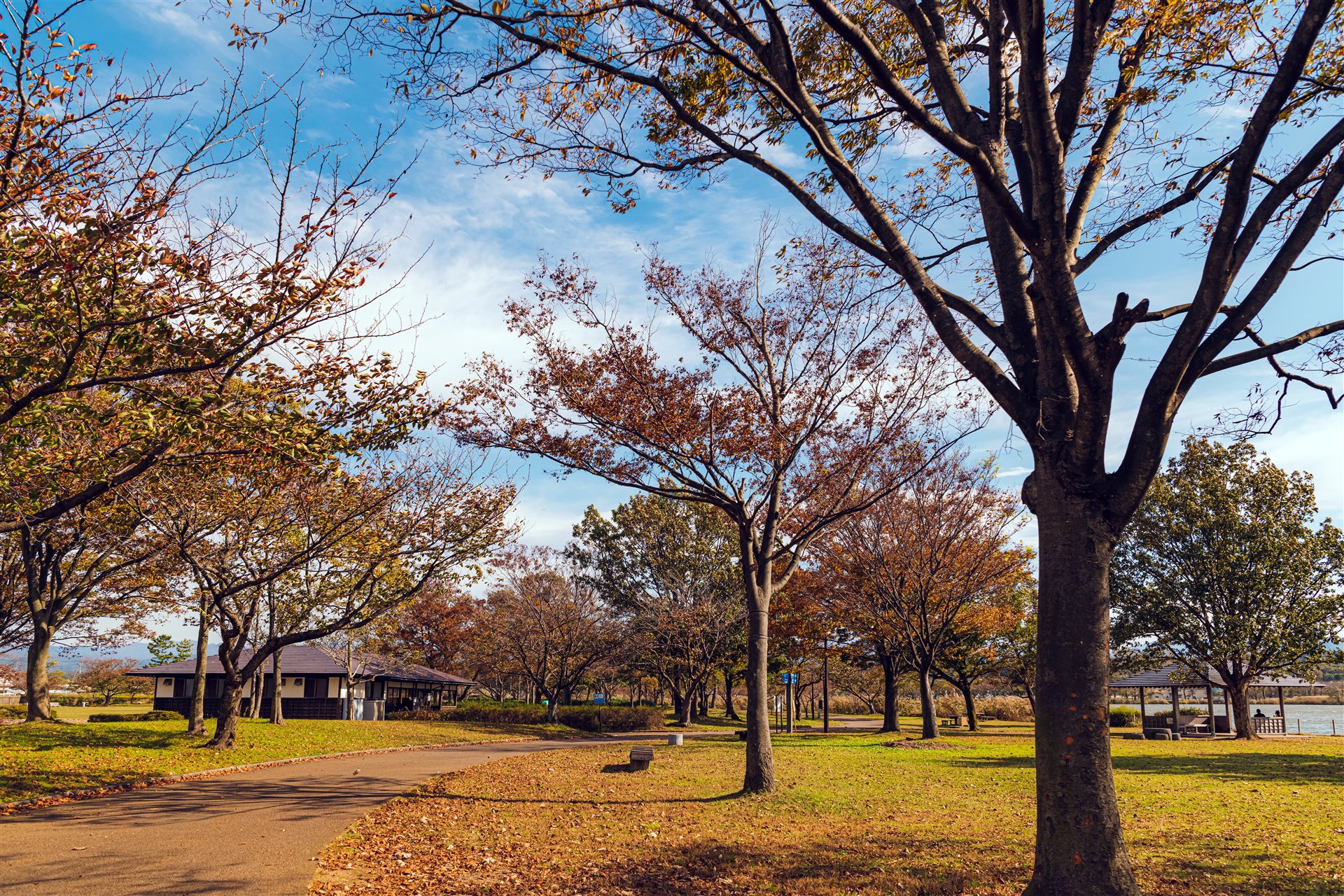 木場潟公園・北園地の園路と湖畔。