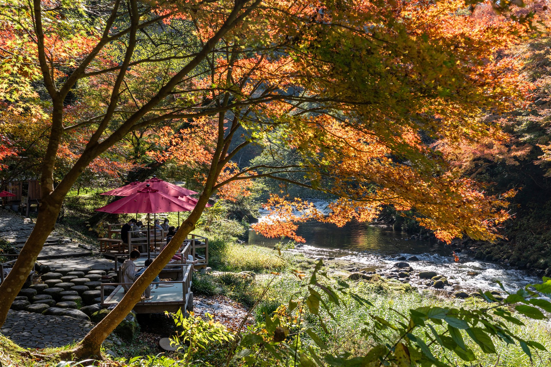 山中温泉・鶴仙渓の秋景色。こおろぎ橋そのものは写っていません。