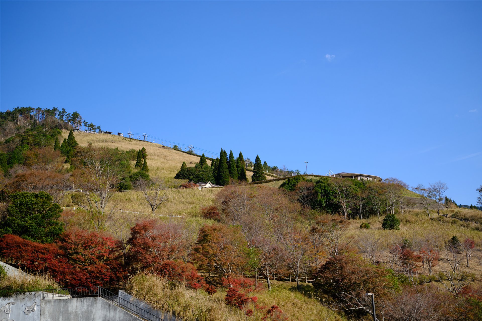 霧島神話の里公園の秋の斜面。高低差のある園内です。