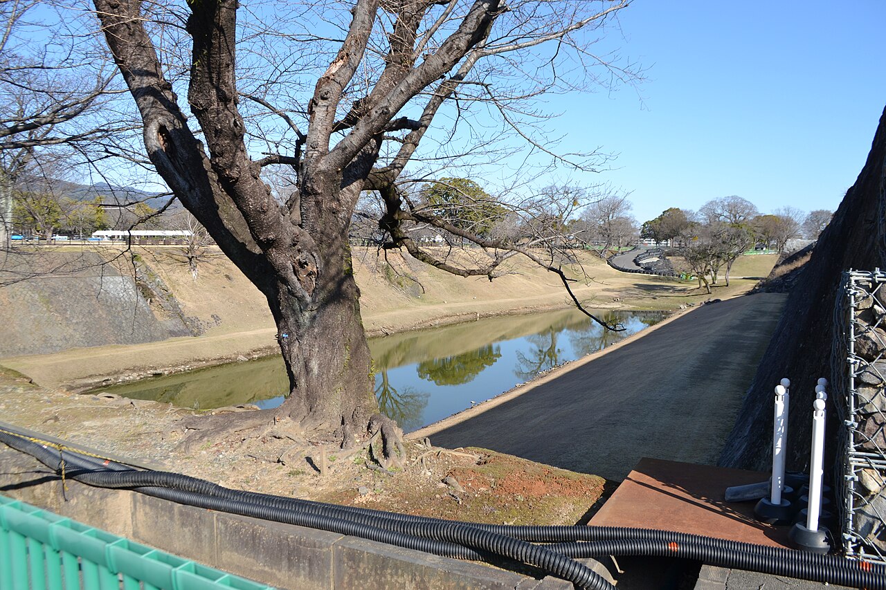 熊本城の西出丸西空堀と木々。2023年2月の記録写真。