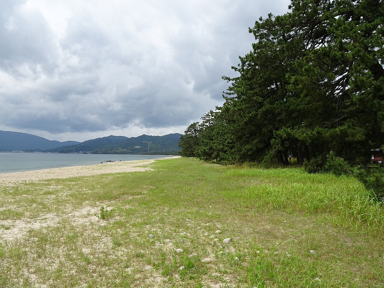 天橋立の砂浜と松並木。2018年7月撮影。