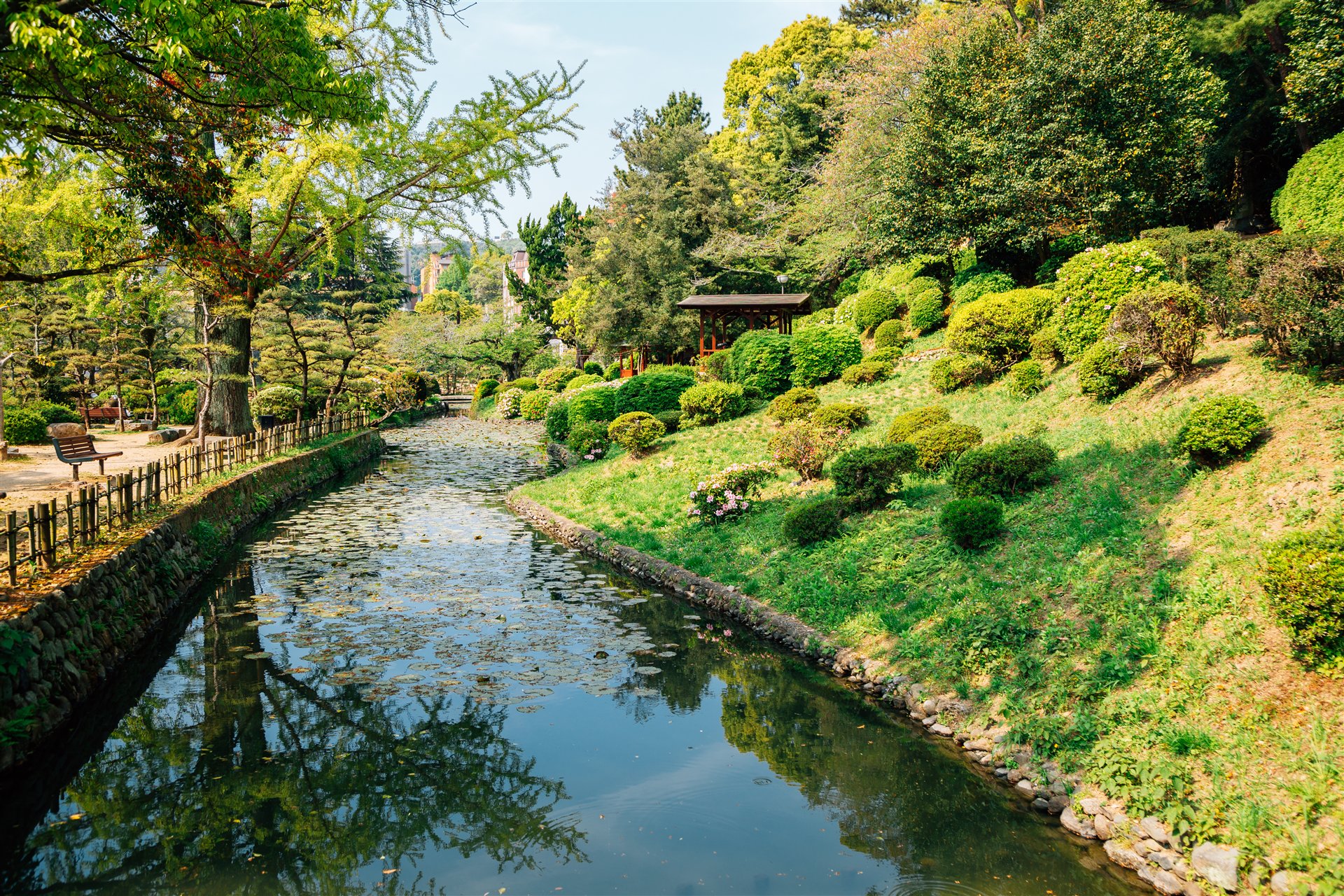 道後公園・湯築城跡の庭園。春〜夏の資料写真。