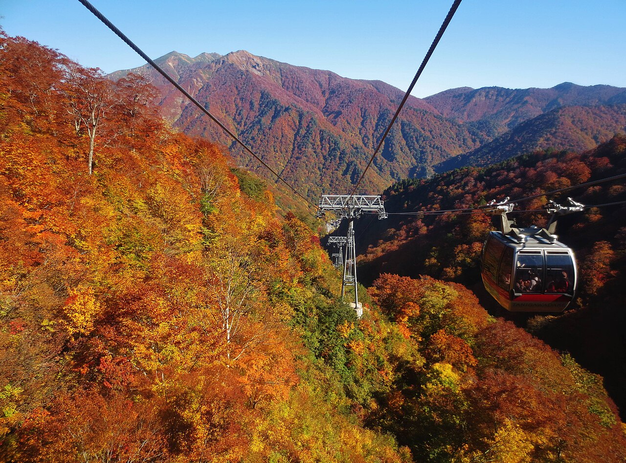 紅葉した山の斜面を行き来する谷川岳ロープウェイのゴンドラ。