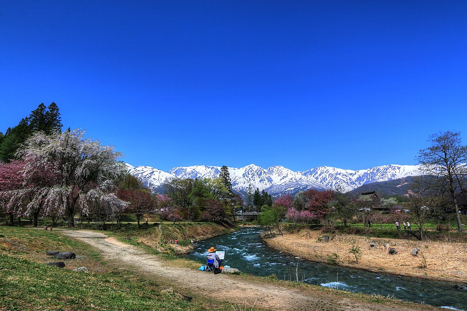 白馬の大出公園から姫川、吊橋と雪の残る山並みを望む。