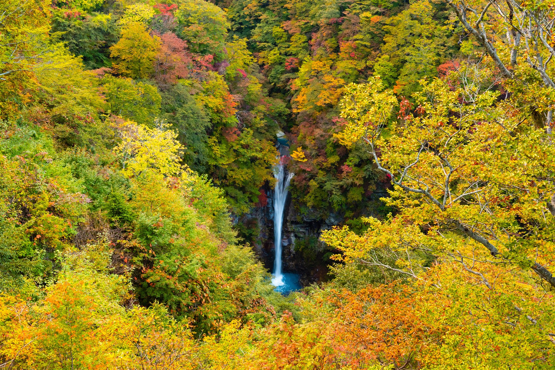 秋の木々に囲まれた駒止の滝。
