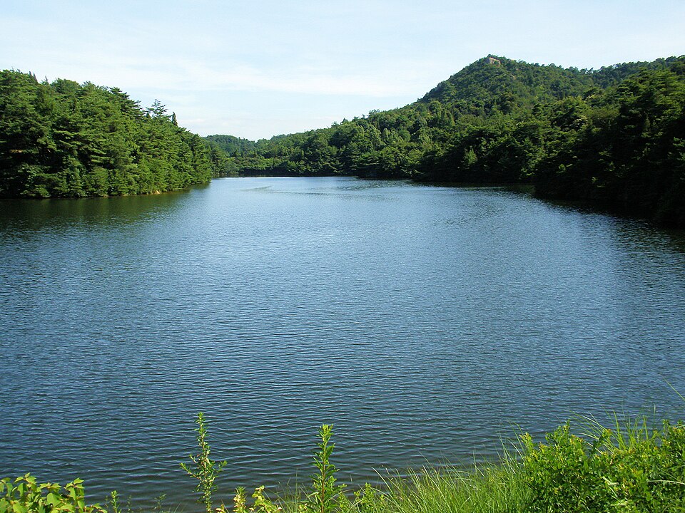 深山公園の中池と緑の木々。2010年7月21日撮影。