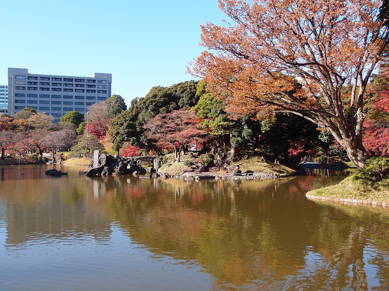 小石川後楽園の大泉水と、秋色の木々に囲まれた島。