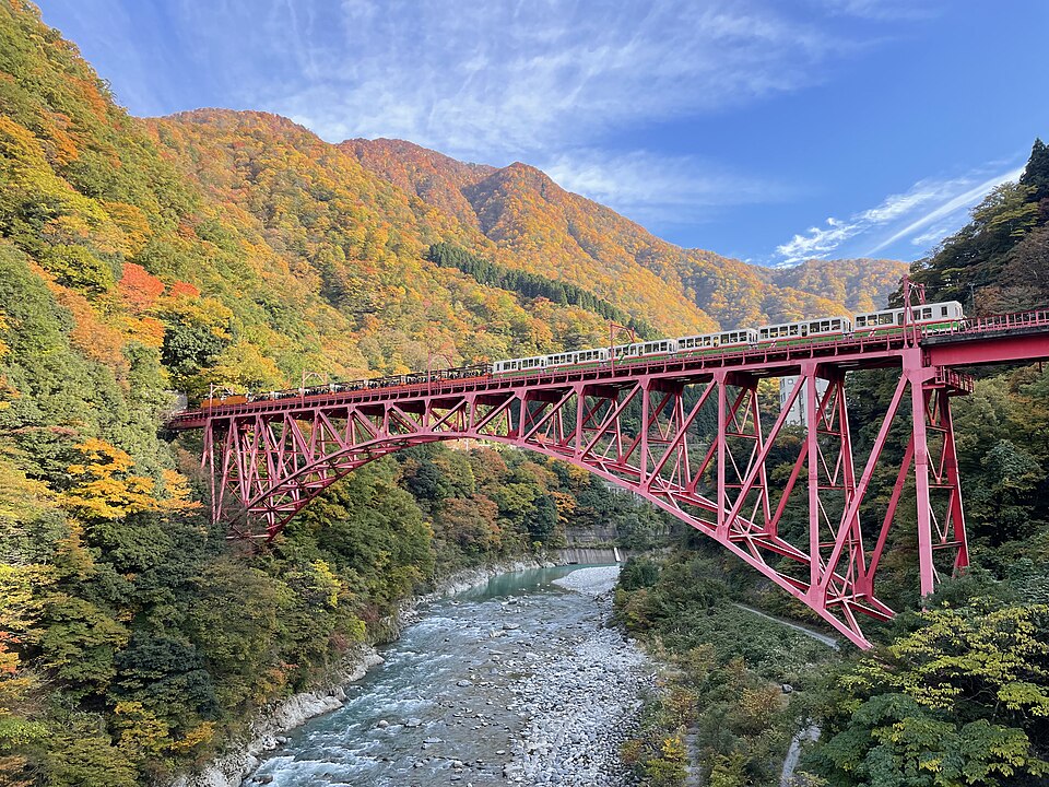 紅葉した谷に架かる新山彦橋を、トロッコ列車が渡る。