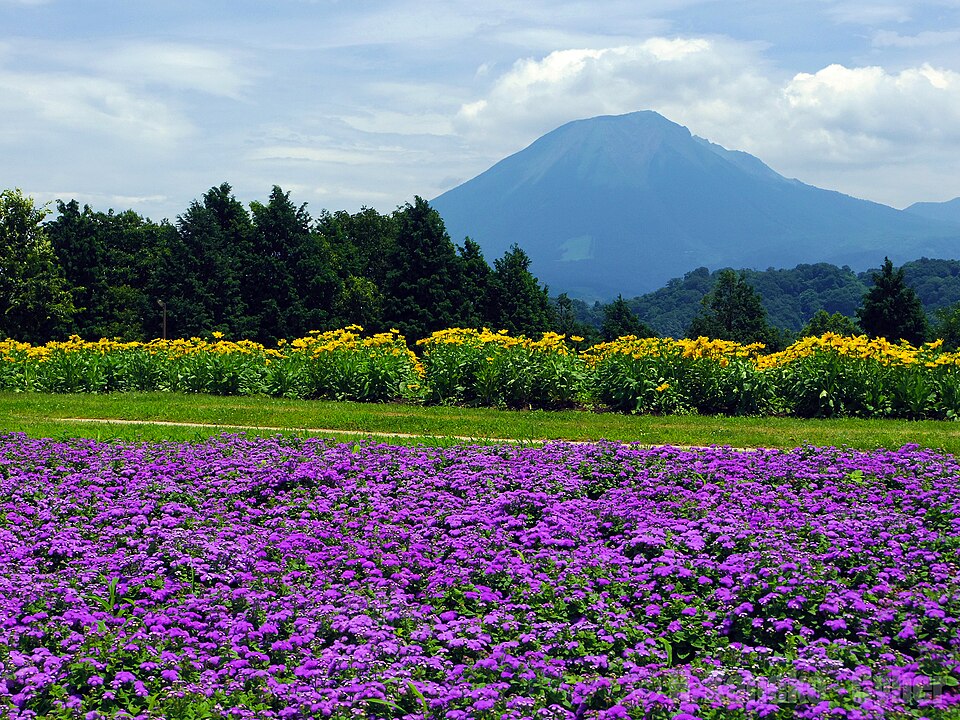 花回廊の花壇越しに大山を望む夏の風景。2012年7月15日撮影。